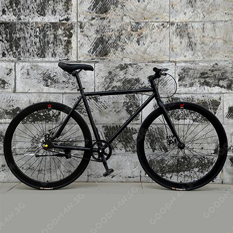 Single Speed Road Bicycle with Disc Brake