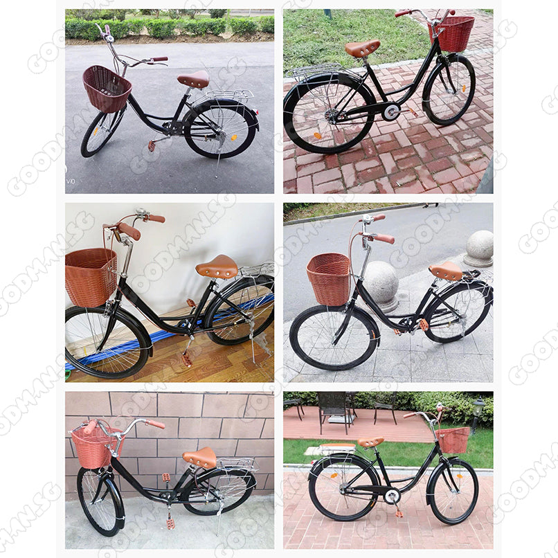 Vintage Bicycle Single Speed